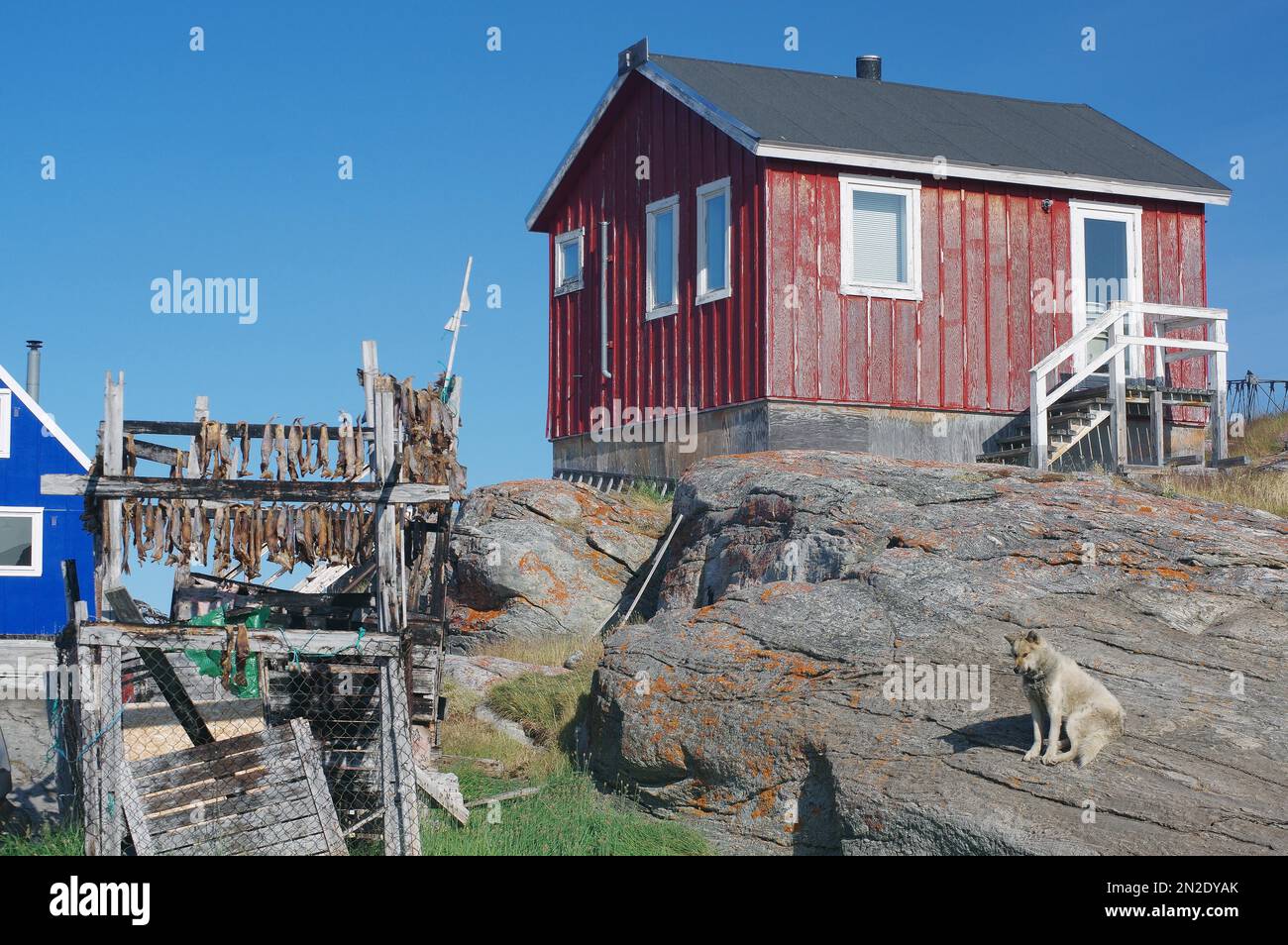 Casiers de poisson séché devant des maisons en bois simples, Ilimanaq, Disko Bay, Avannaata Kommunia, Arctique, Groenland, Danemark Banque D'Images