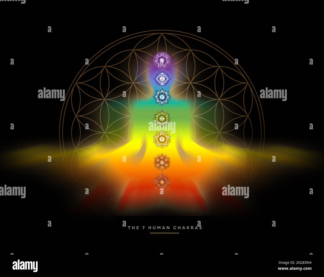 Silhouette humaine en yoga / pose de lotus avec 7 symboles Chakras et Fleur de vie. (Corps d'énergie humaine, aura, yoga lotus pose). Banque D'Images