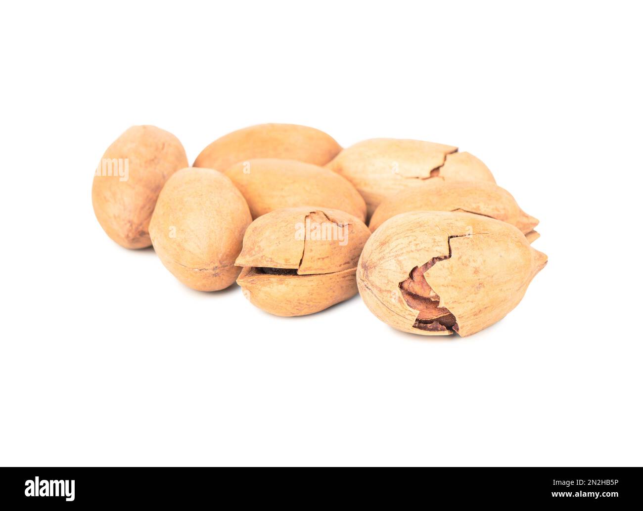 Bouquet de noix de pécan sur fond blanc Banque D'Images