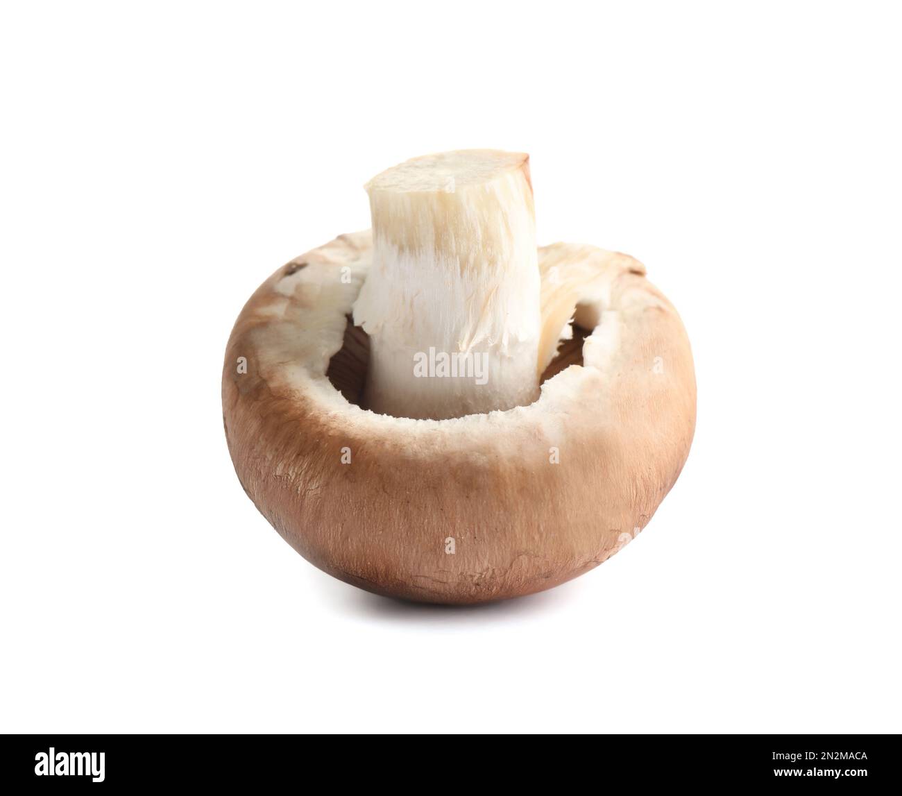 Champignons champagnes entiers frais isolés sur blanc Banque D'Images