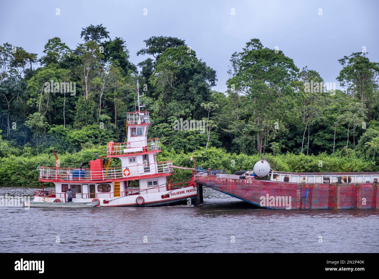 Remorqueurs poussant des barges fluviales chargées dans la forêt amazonienne entre Novo Airao et Barcelos, Brésil. Bassin de Rio Negro. Couloir écologique du centre de l'Amazonie Banque D'Images