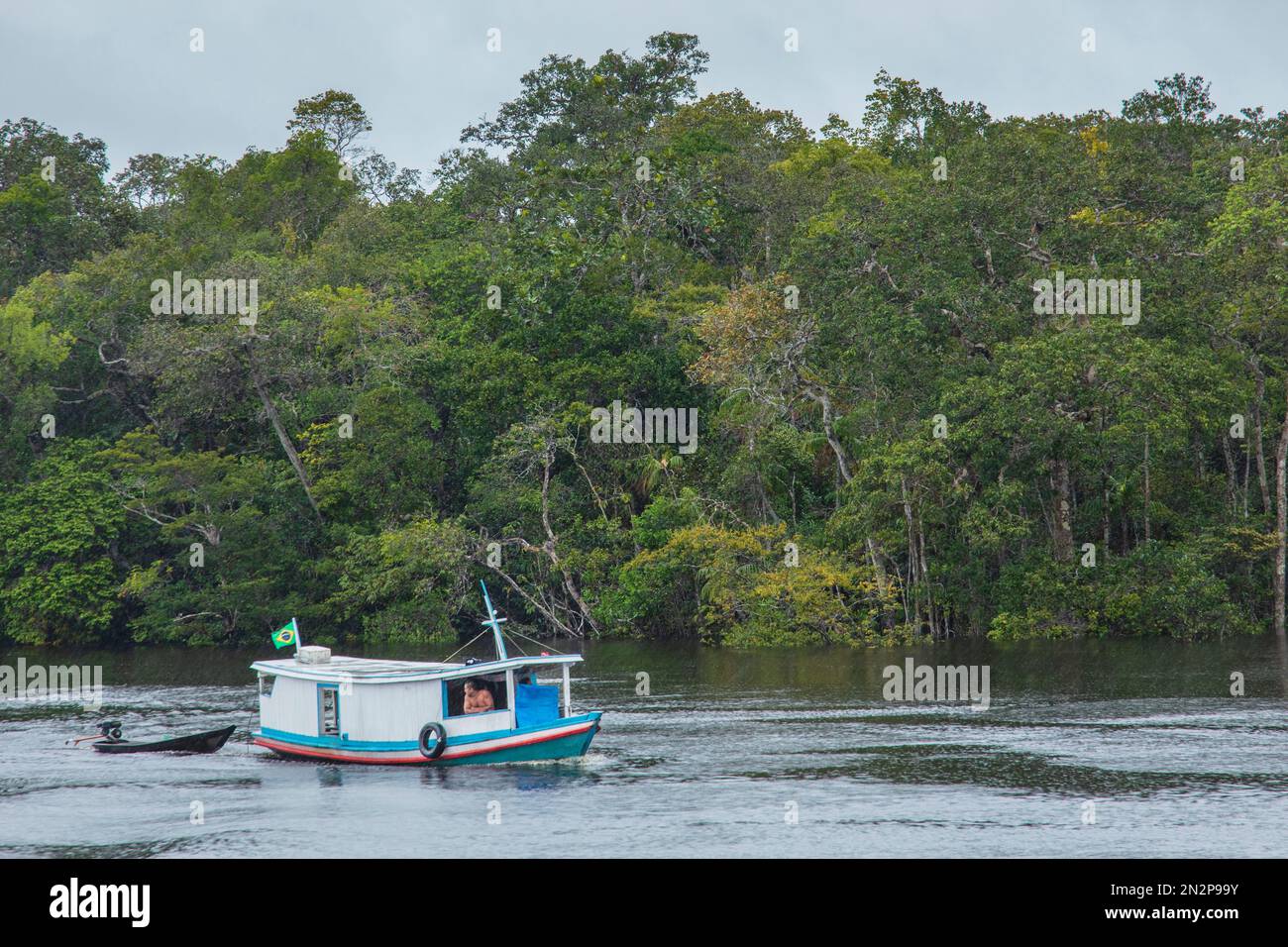 Un bateau de rivière local en bois tractant un lancement sur le Rio Negro. Forêt tropicale derrière. Brésil, Amazone, bassin de Rio Negro. Couloir écologique du centre de l'Amazonie Banque D'Images