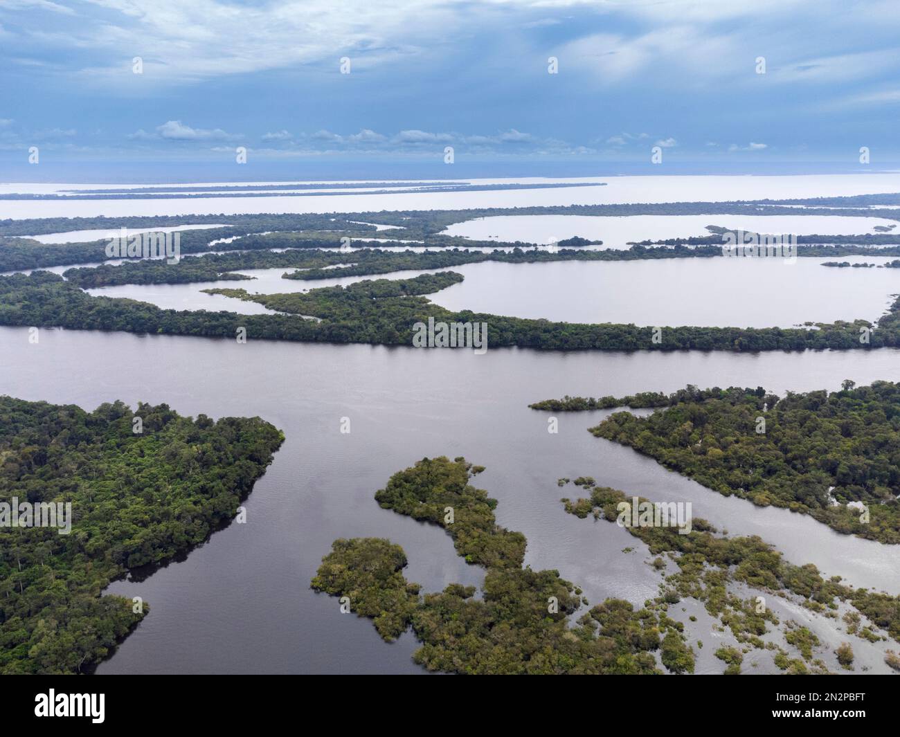 Îles Anavilhanas, le plus grand archipel fluvial du monde. Rio Negro. Vue aérienne. Parc national d'Anavilhanas, couloir écologique de l'Amazonie centrale, Brésil Banque D'Images
