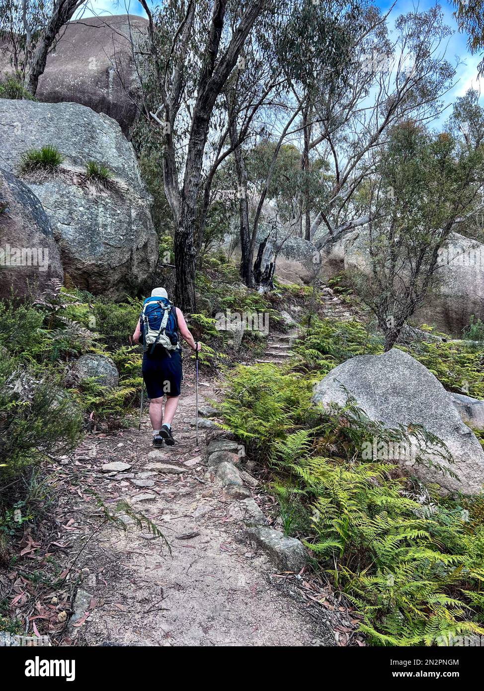 Vue arrière d'une femme en randonnée dans le parc national de Girraween, Queensland, Australie Banque D'Images
