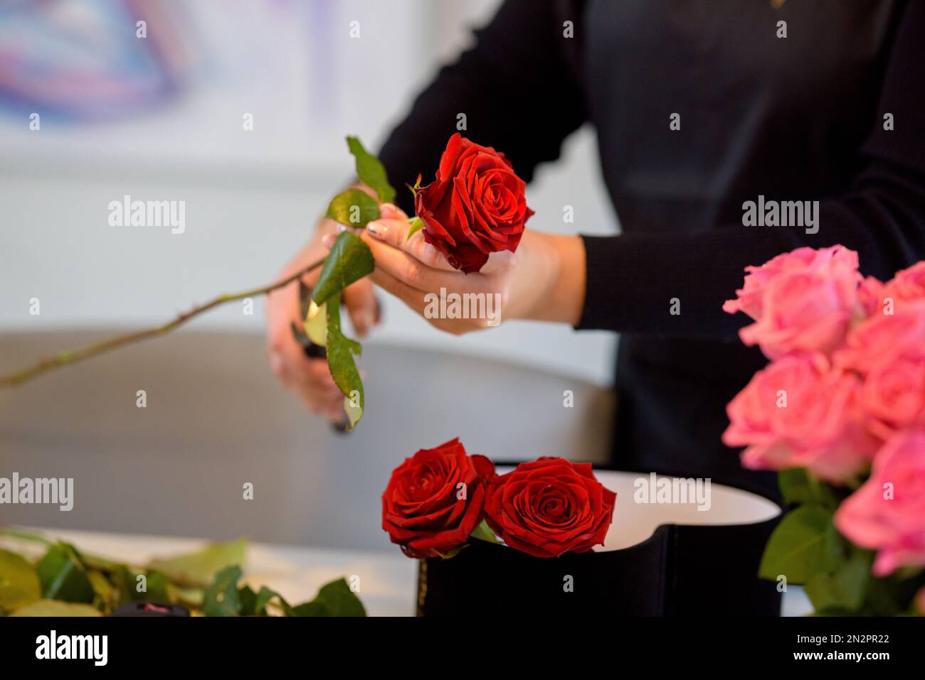 Gros plan d'une femme qui fait un arrangement de fleurs de la Saint-Valentin avec des roses rouges Banque D'Images Gros plan d'une femme qui fait un arrangement de fleurs de la Saint-Valentin avec des roses rouges Banque D'Images