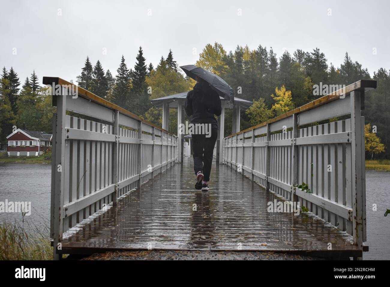 Lac Nydala à Umea, un jour d'automne à la pluie. Banque D'Images