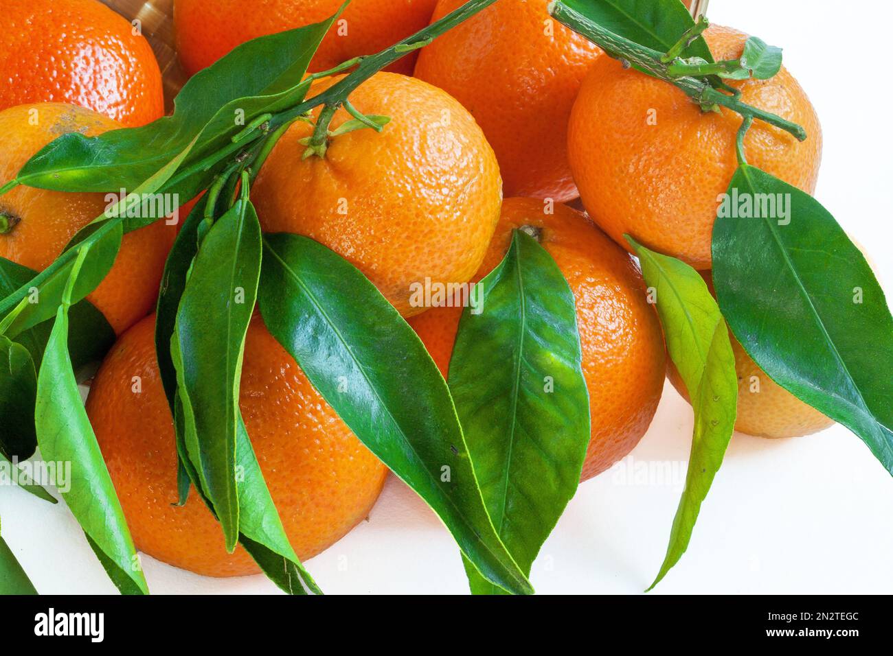 Clémentine de corse Banque de photographies et d’images à haute résolution Alamy