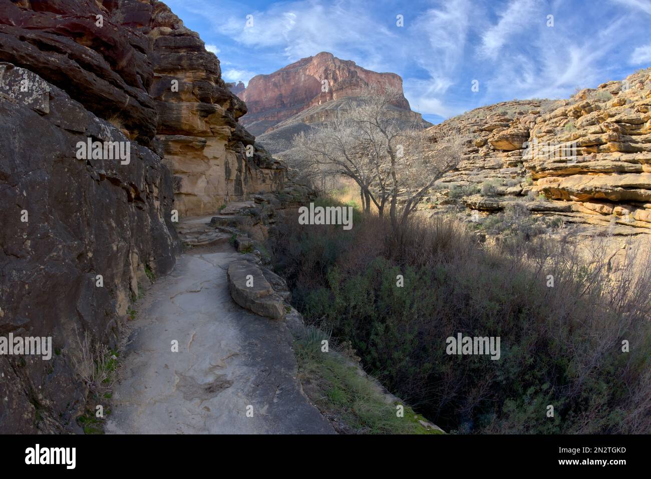 Vue sur le paysage depuis Bright Angel Trail, Garden Creek Canyon, Grand Canyon, Arizona, États-Unis Banque D'Images