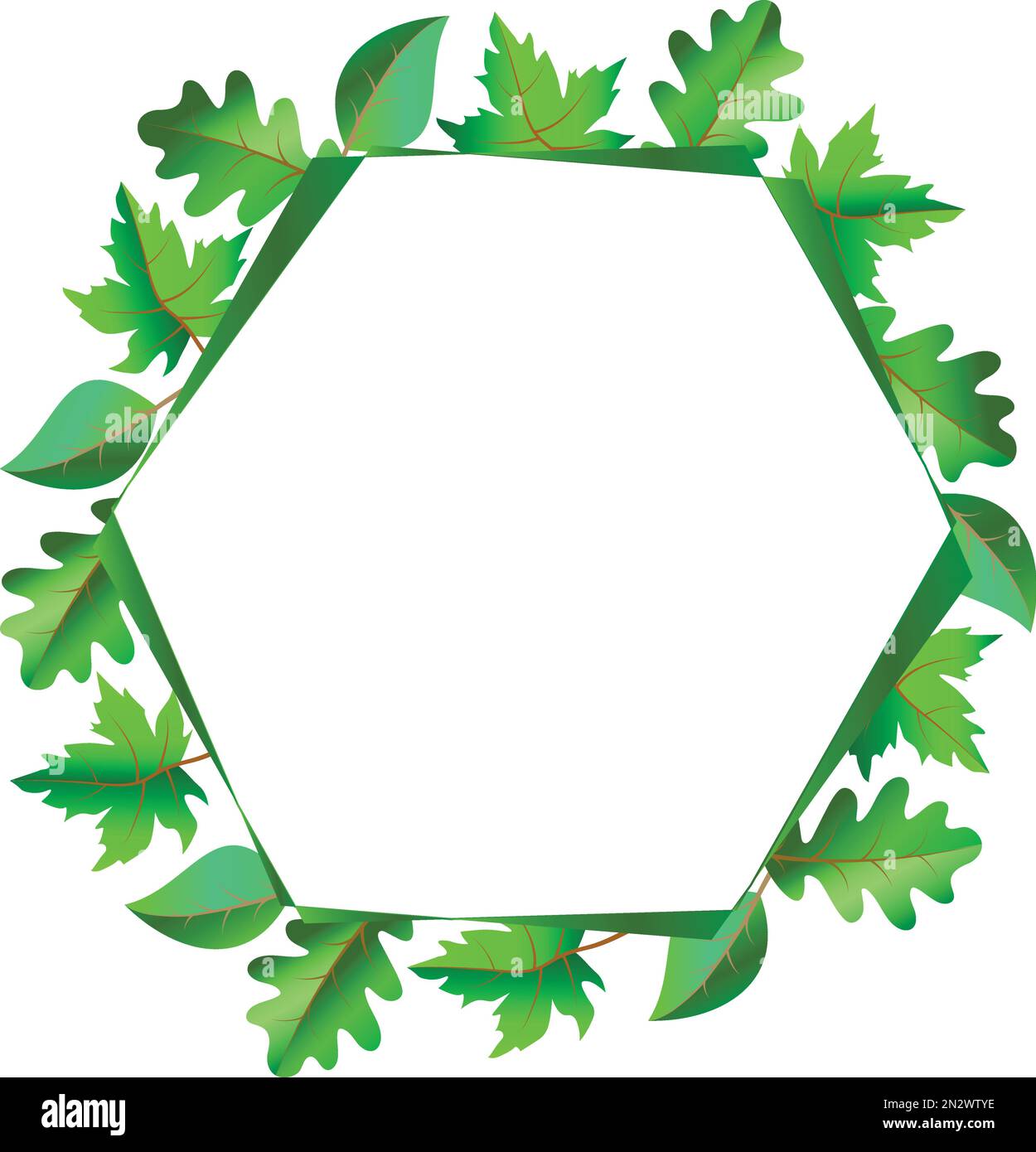 Cadre de printemps frais hexagonal avec feuilles vertes d'érable, de chêne et de bouleau Illustration de Vecteur