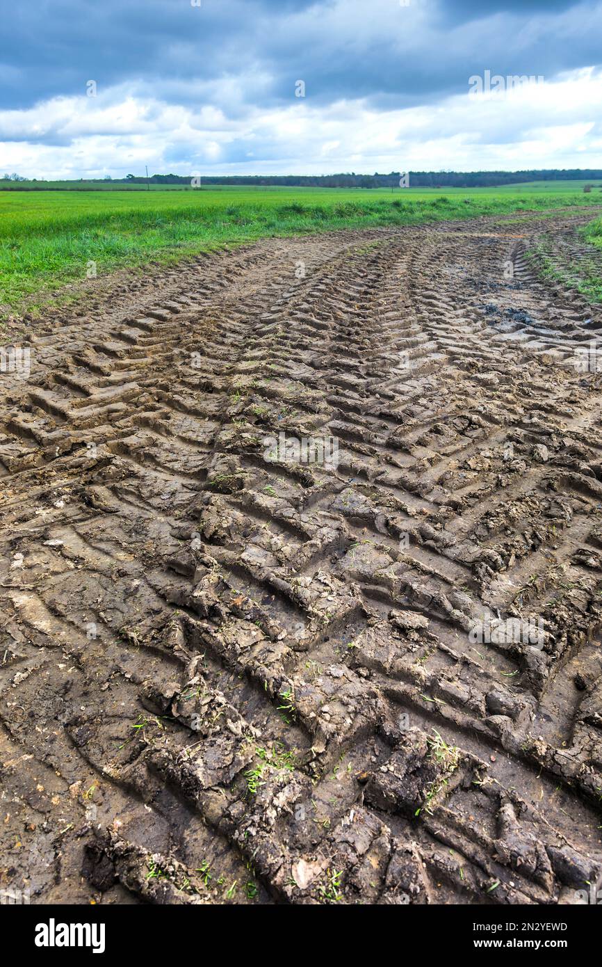 Chenilles de pneus de tracteur le long de la route de campagne boueuse - France. Banque D'Images