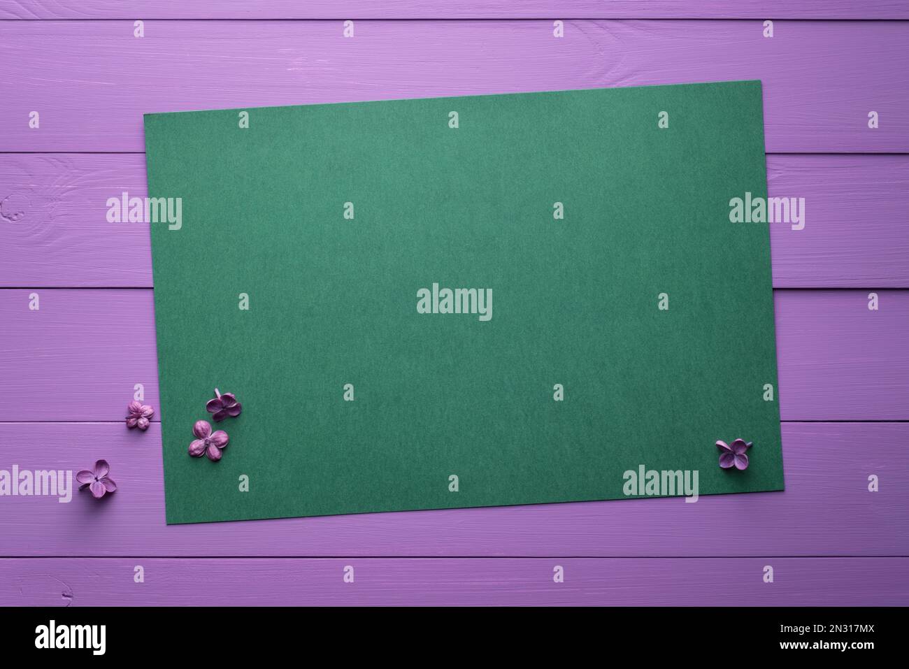 Fond en bois violet avec une feuille vierge pour les notes. Décor de fleurs lilas Banque D'Images