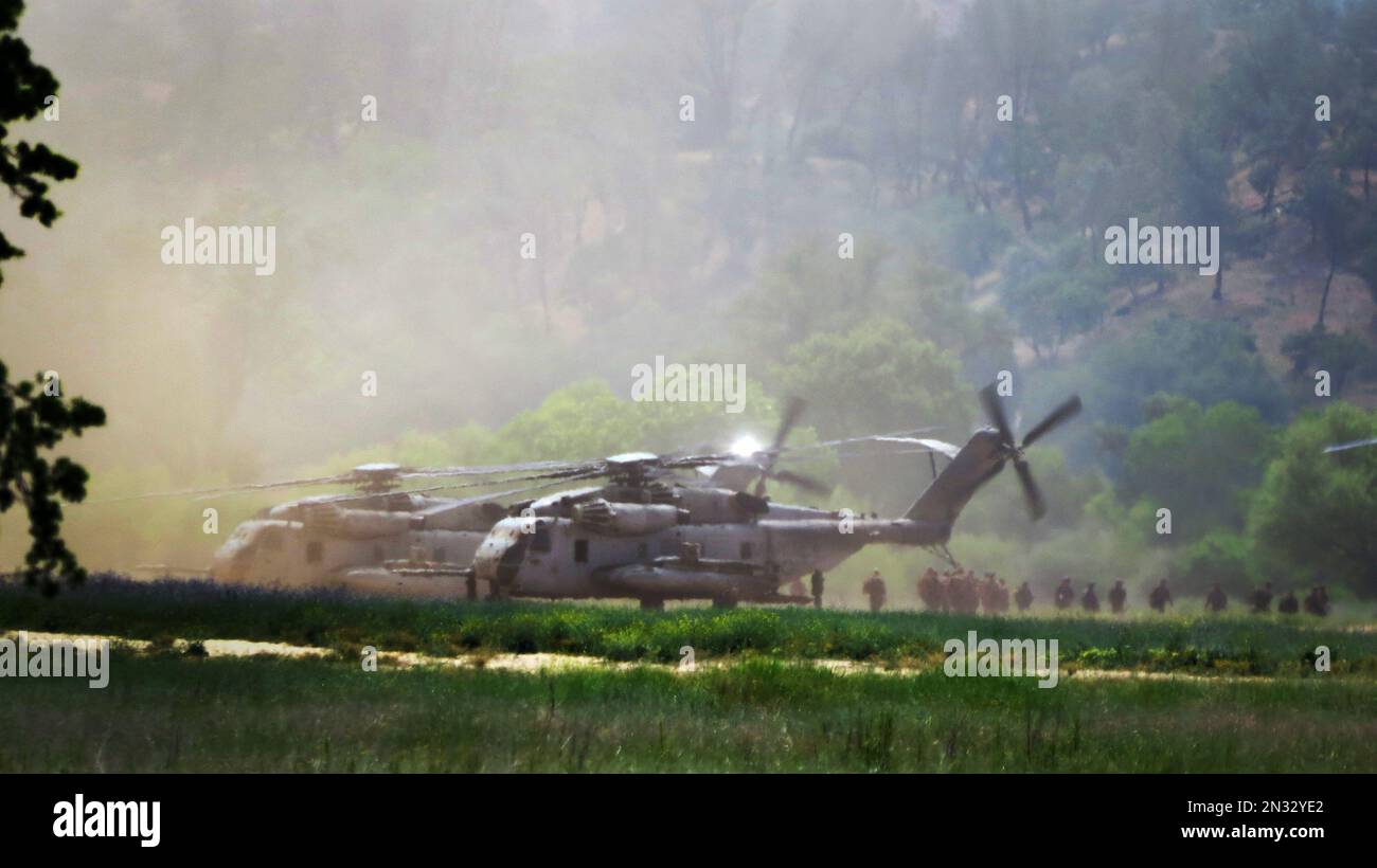 13th Marine Expeditionary Unit débarque de gros hélicoptères pendant l'entraînement, fort Hunter Liggett, Californie. Banque D'Images