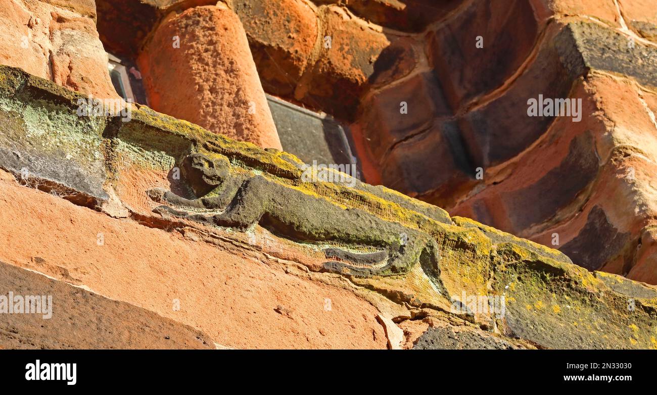 Chat de Cheshire sculpté, St Wilfrids, Church LN, Grappenhall Village, South Warrington, Cheshire, Angleterre, Royaume-Uni, WA4 3EP Banque D'Images