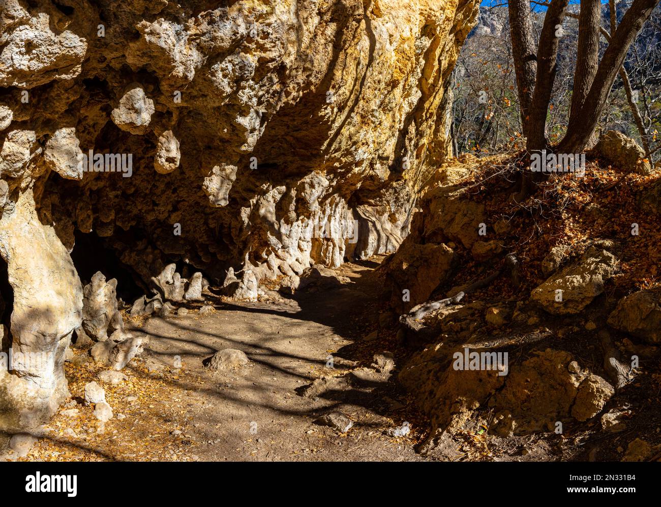 The Grotto on the McKittrick Canyon Trail, parc national des montagnes Guadalupe, Texas, États-Unis Banque D'Images