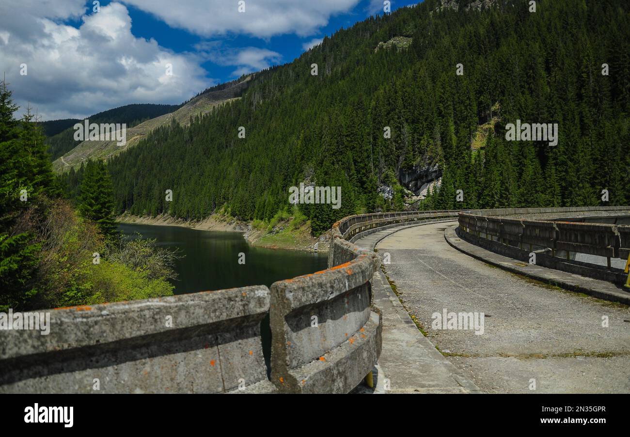 Panorama sur le lac Galbenu. Le barrage de Galbenu protège la vallée de la rivière Latorita des inondations. Montagnes de Latorita, Roumanie, Une forêt d'épicéa entoure le lac. Banque D'Images