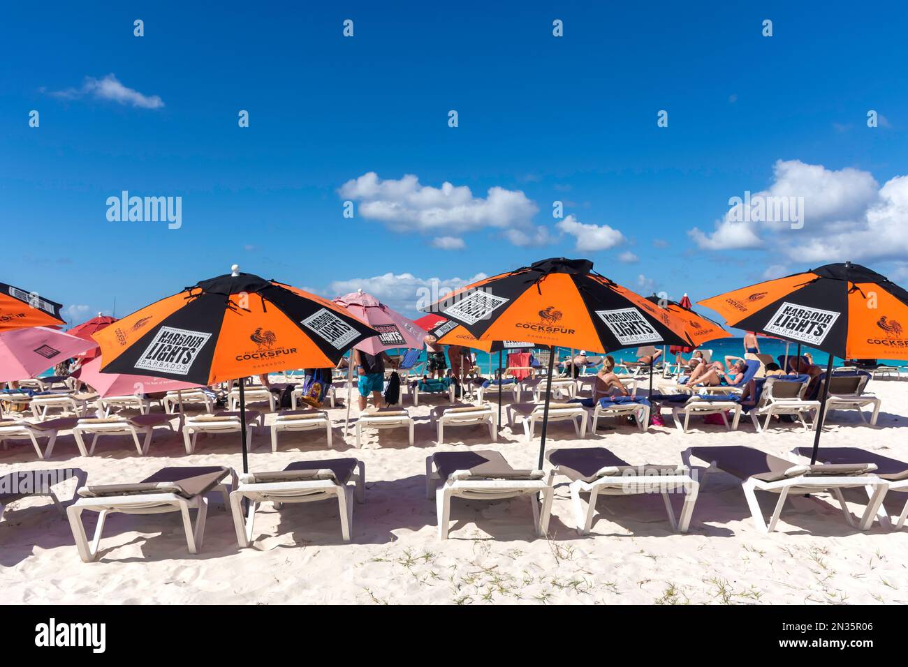 Harbour Lights Beach Club chaises longues à Bayshore Beach, Carlisle Bay, Bridgetown, St Michael Parish, Barbade, Antilles néerlandaises, Caraïbes Banque D'Images