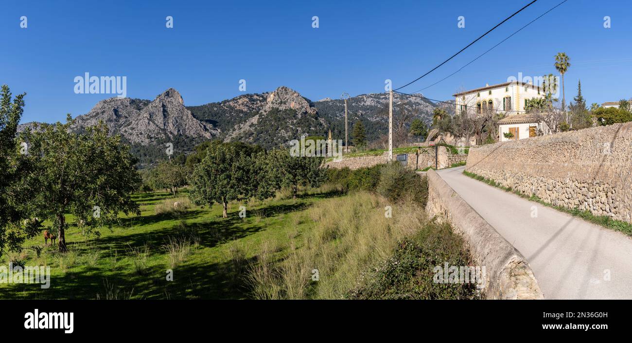 Ancienne route vers Soller et la montagne sa Gubia, Bunyola, Majorque, Iles Baléares, Espagne Banque D'Images