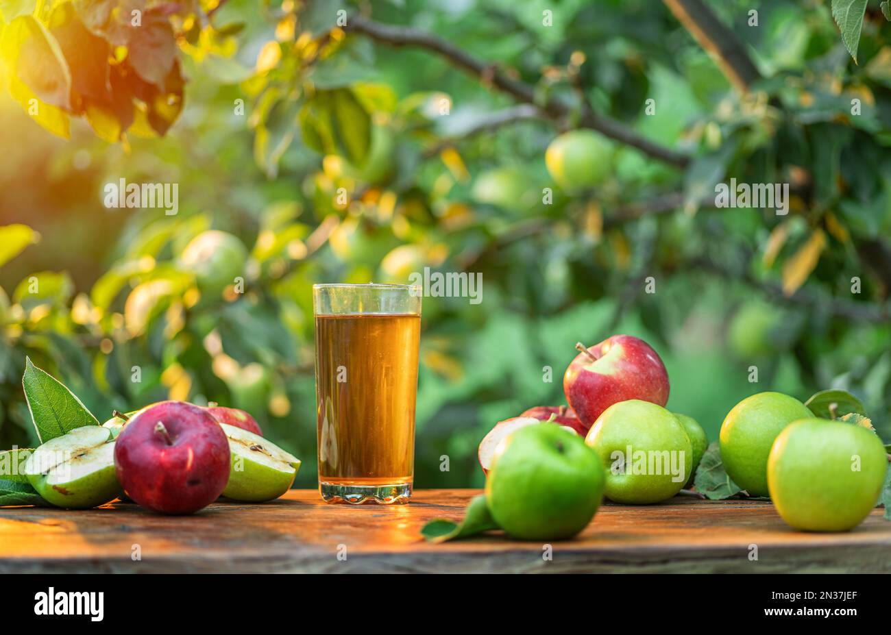 Jus de pomme frais et pommes biologiques sur une table en bois. Verger d'été dans le soir, le soleil brille à l'arrière-plan. Banque D'Images