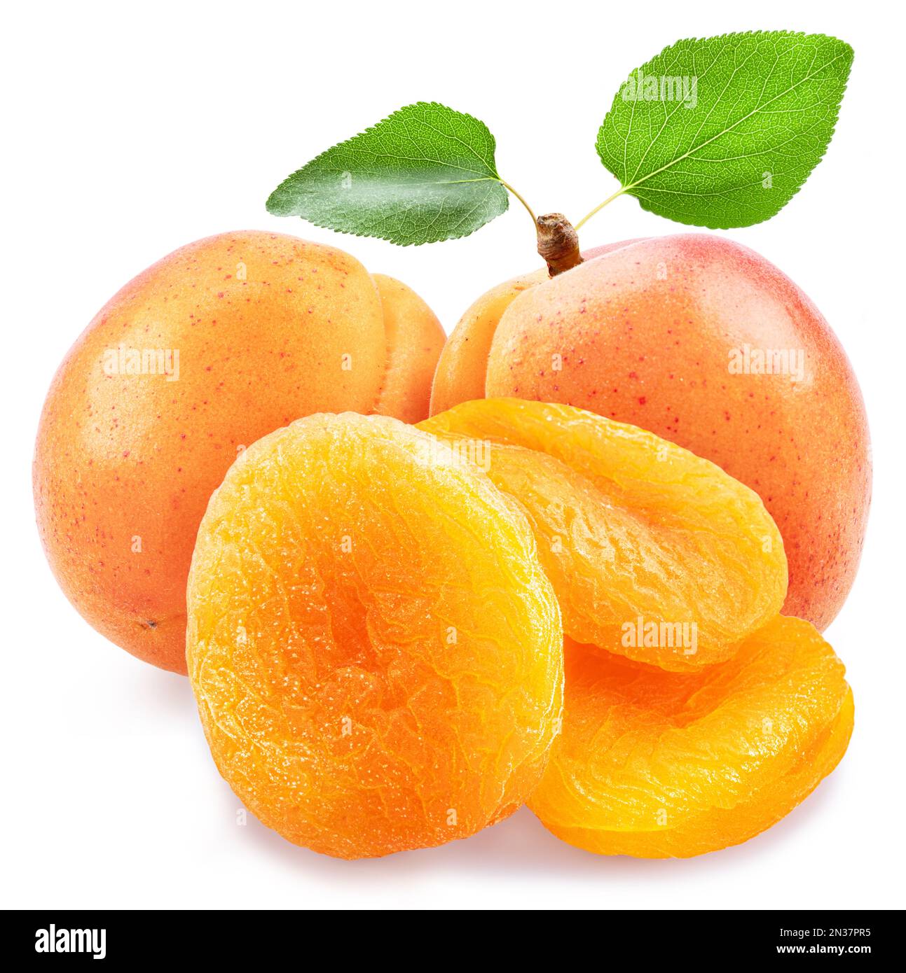 Délicieux abricots séchés et abricots frais isolés sur fond blanc. Prise de vue macro. Banque D'Images