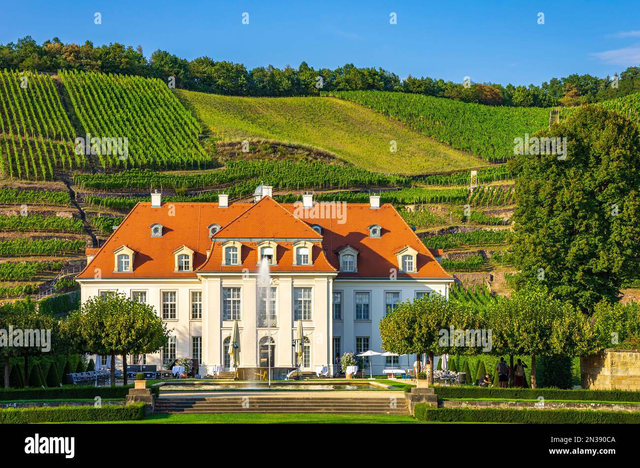 Classé Baroque Wackerbarth Manor en face d'une section du vignoble historique également protégé paysage de Radebeul, Saxe, Allemagne. Banque D'Images