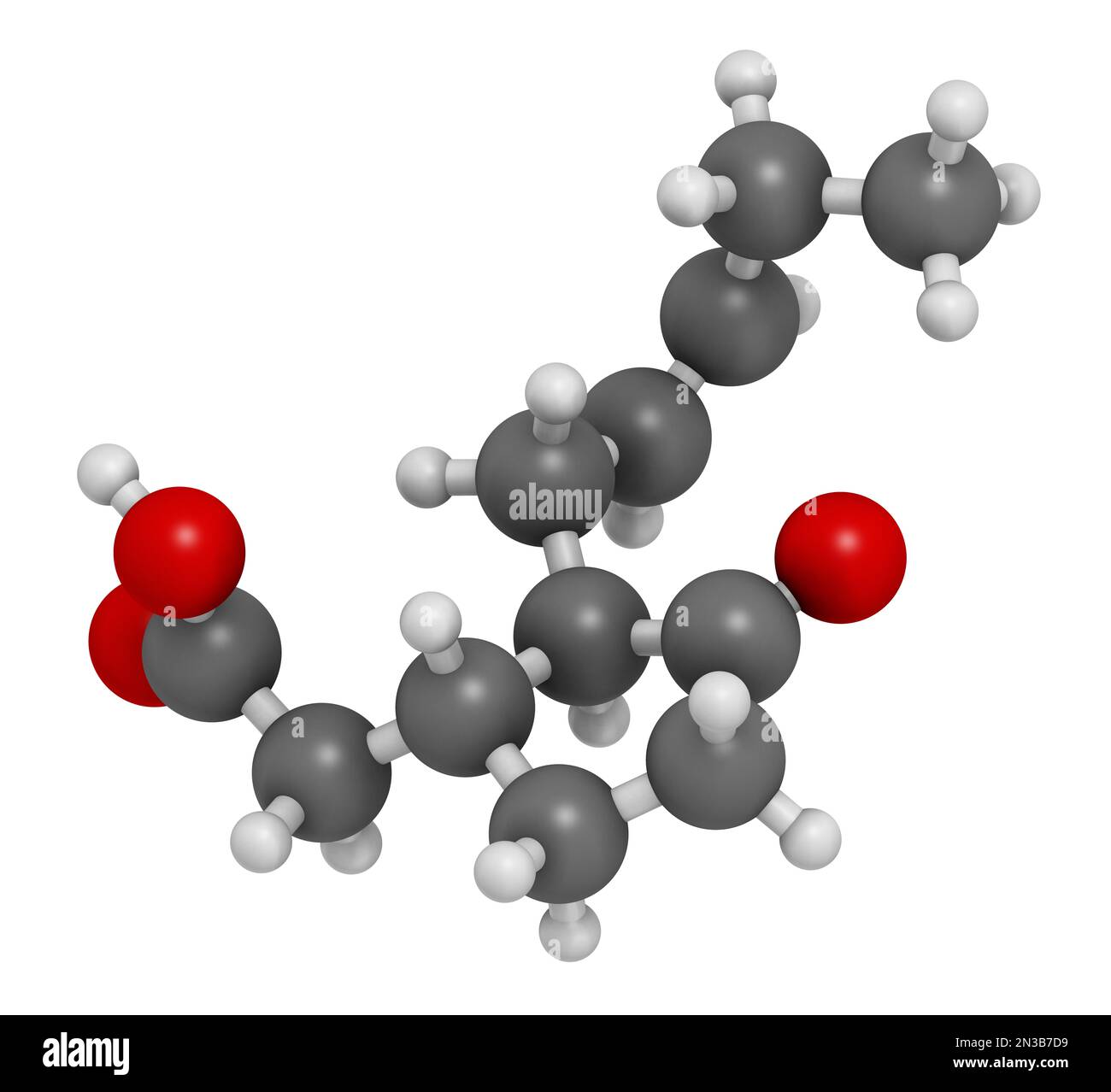 Molécule d'hormone végétale d'acide jasmonique (jasmonate, JA). 3D rendu. Les atomes sont représentés sous forme de sphères avec un codage couleur conventionnel : hydrogène (blanc), Banque D'Images