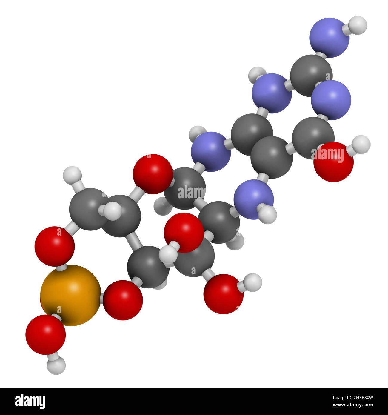 Molécule de médicament de Fosdenoptérine. 3D rendu. Les atomes sont représentés sous forme de sphères avec un codage couleur conventionnel : hydrogène (blanc), carbone (gris), azote Banque D'Images