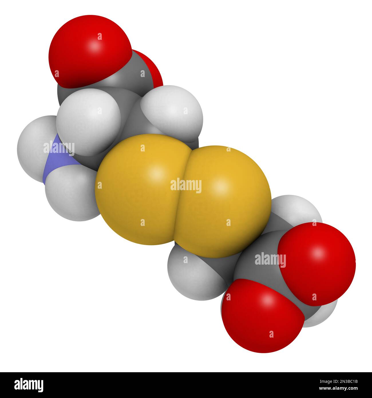 Molécule de cystine. Dimère oxydée de la cystéine d'acide aminé. 3D rendu. Les atomes sont représentés comme des sphères avec un codage couleur conventionnel : hydrogène ( Banque D'Images