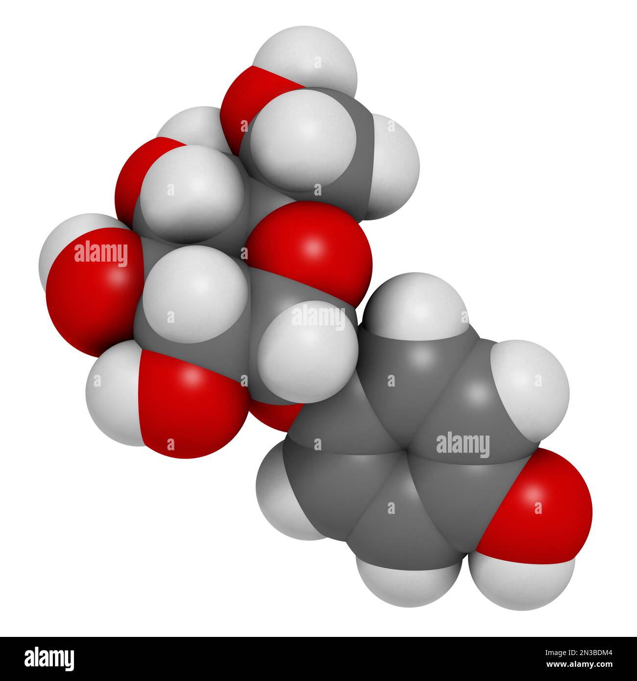 Rendu alpha-arbutane 3D. Les atomes sont représentés sous forme de sphères avec un codage couleur conventionnel : hydrogène (blanc), carbone (gris), oxygène (rouge). Banque D'Images