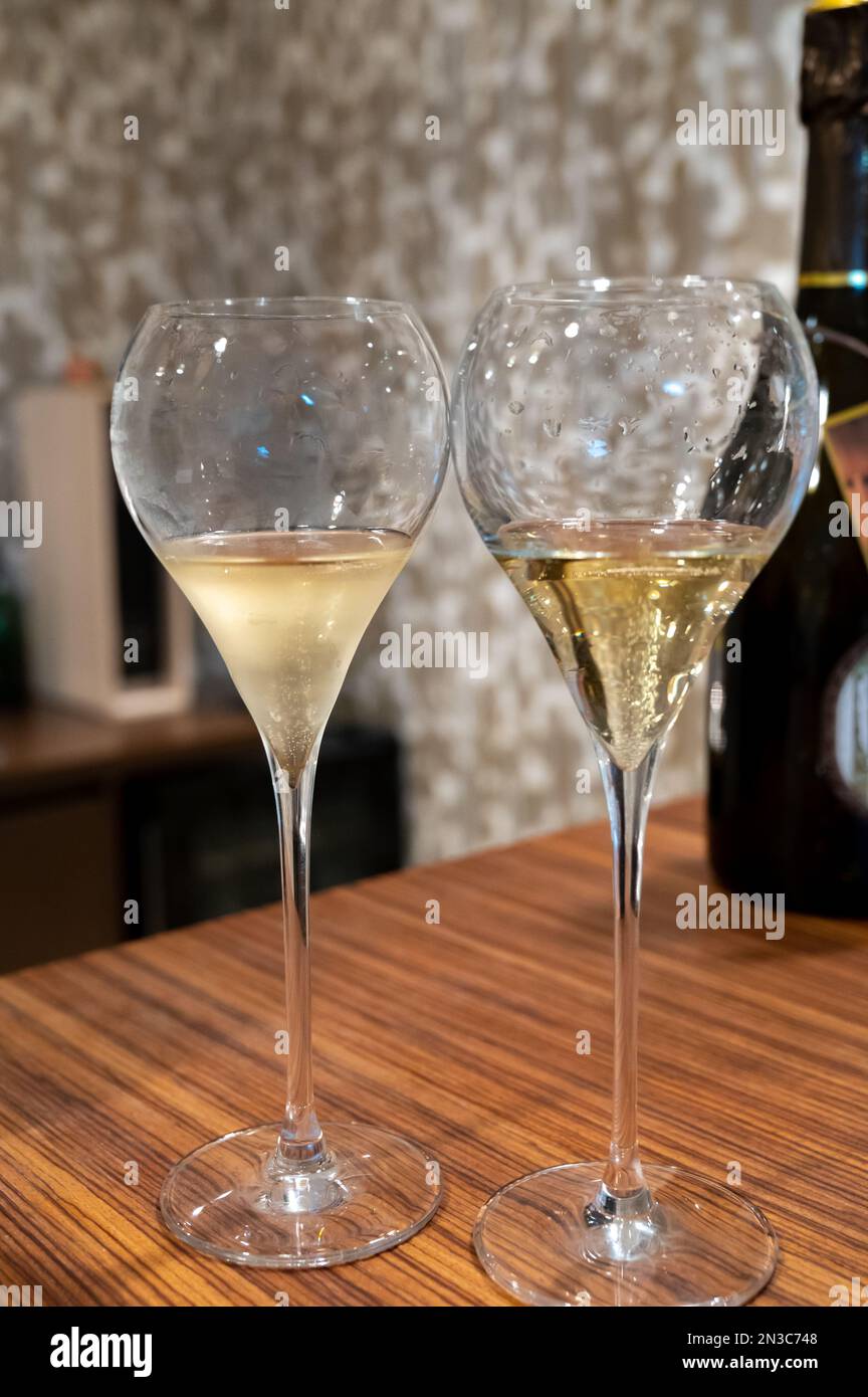 Verre de dégustation avec champagne frais brut vin mousseux dans les ...