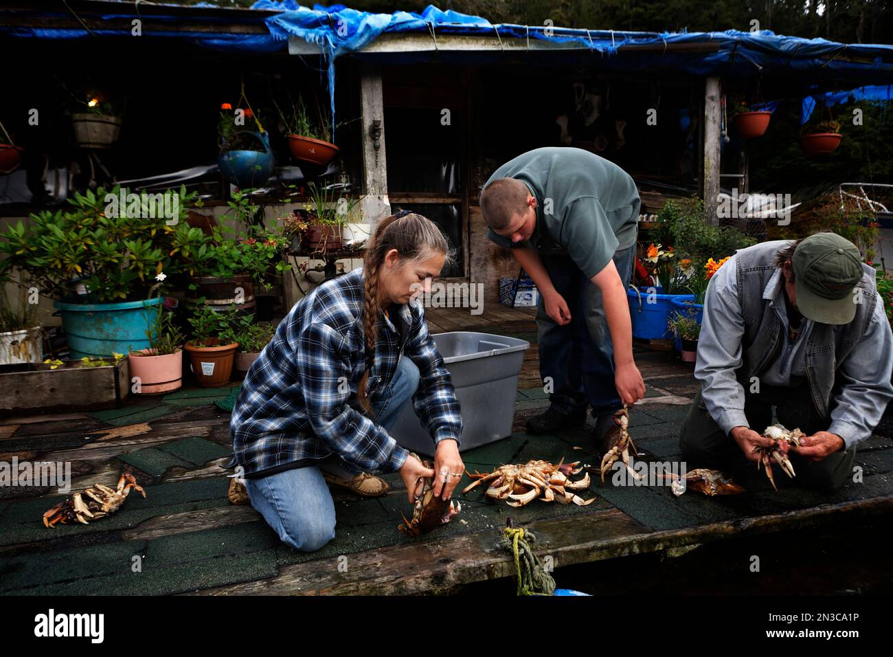 La famille et les amis nettoient les crabes pour préparer le dîner dans leur maison flottante sur Piggy Cove dans le sud-est de l'Alaska Banque D'Images