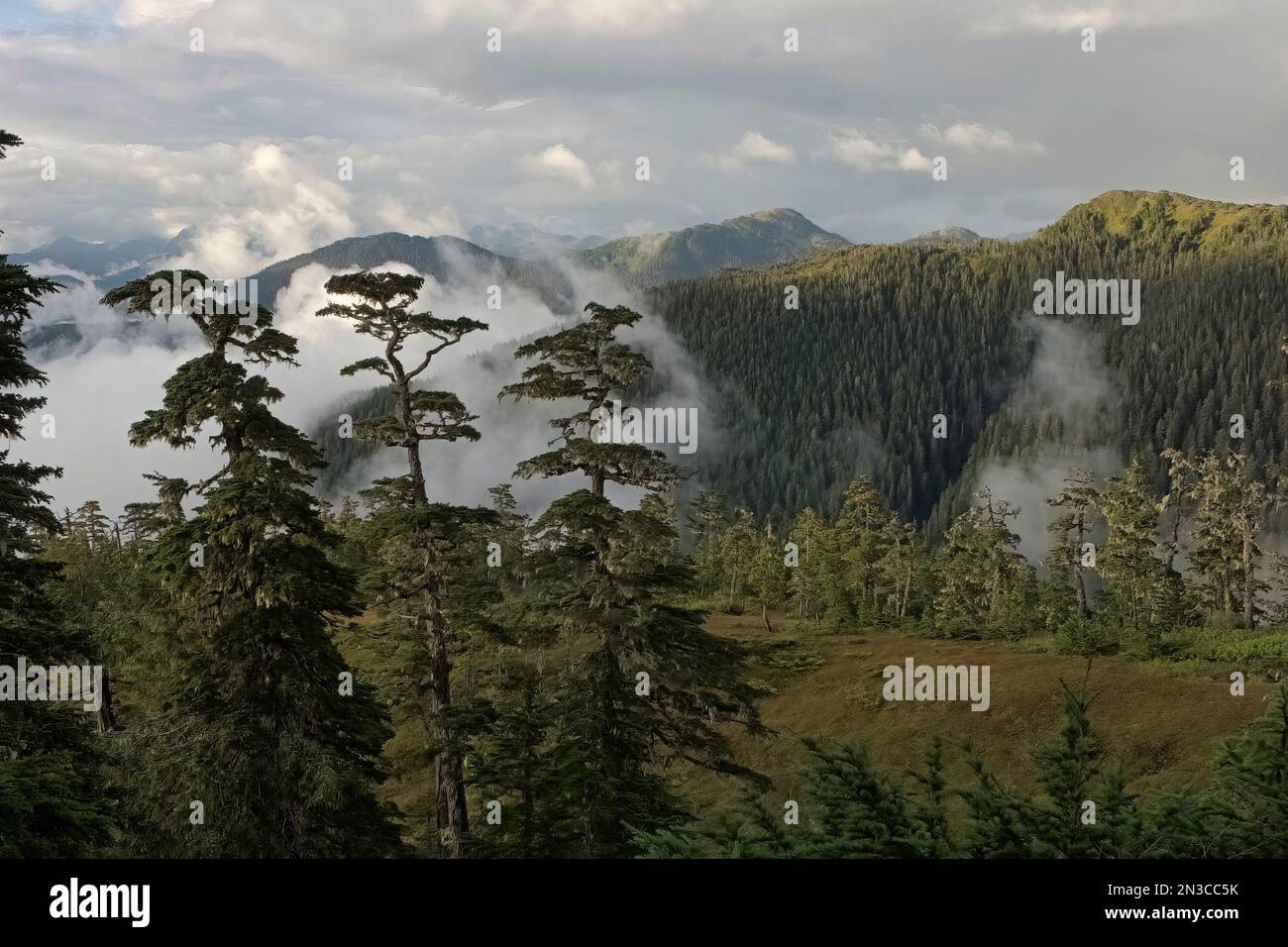Le brouillard s'élève au-dessus des îles boisées et du terrain de muskeg au-dessus de Sitka Sound. La forêt nationale de Tongass est de 17 millions d'acres, la plus grande forêt tropicale tempérée... Banque D'Images