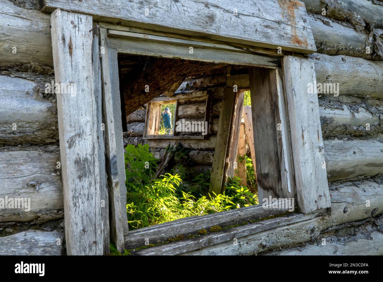 Femme vue à travers les fenêtres d'une cabane abandonnée ; Silver City, Yukon, Canada Banque D'Images