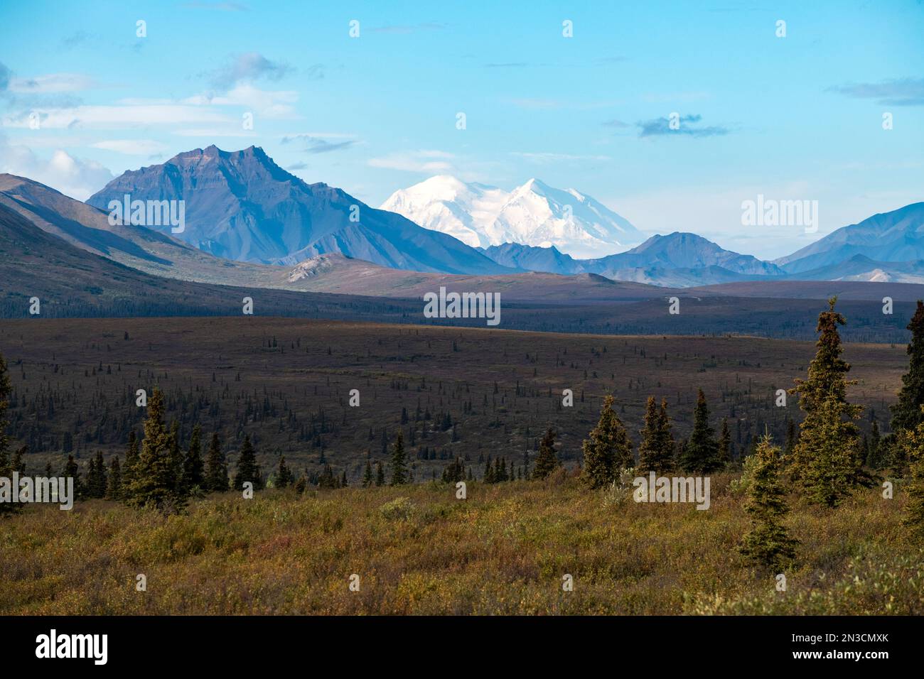 Vue panoramique vers double Mountain et Denali (Mount McKinley) en automne Banque D'Images
