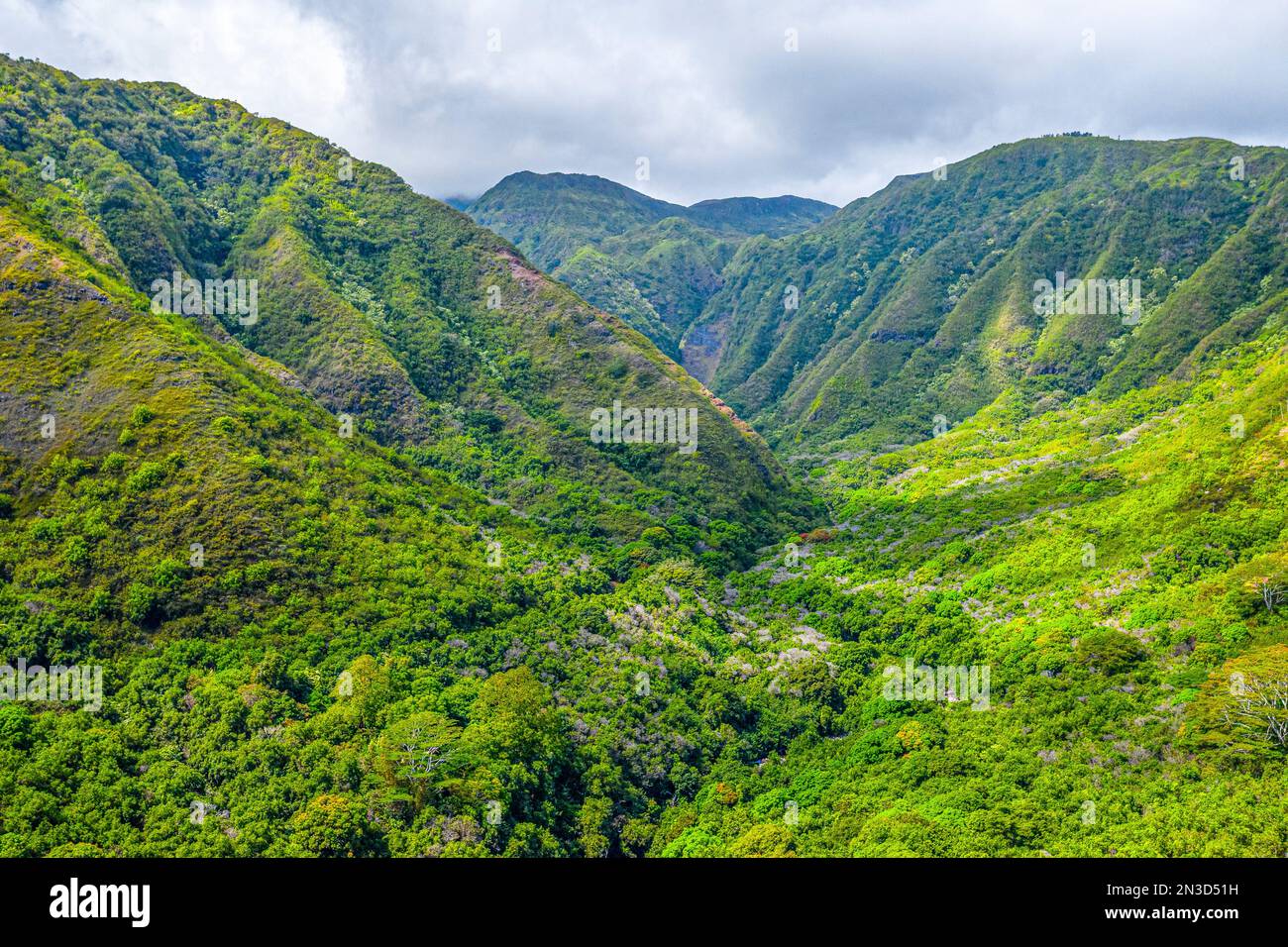 Vue aérienne du flanc de montagne luxuriant et des pentes boisées de Waihee Ridge dans les montagnes West Maui ; Maui, Hawaii, États-Unis d'Amérique Banque D'Images