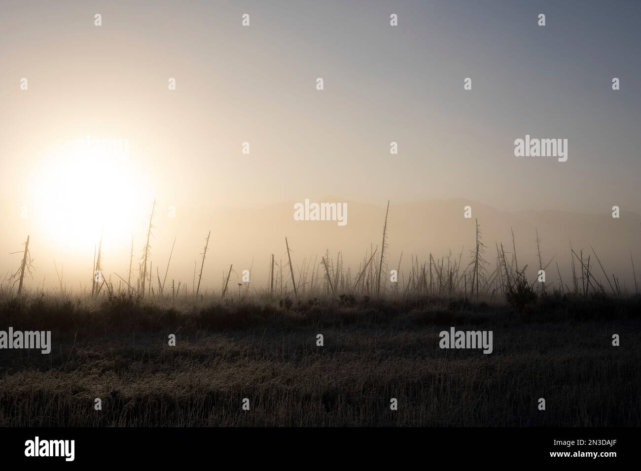 Le brouillard s'installe au-dessus d'un paysage gelé avec un soleil chaud; Palmer, Alaska, États-Unis d'Amérique Banque D'Images