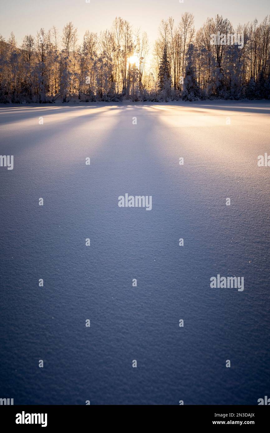 De longues ombres tombent sur la neige au coucher du soleil, Palmer Hay Flats en Alaska, États-Unis; Palmer, Alaska, États-Unis d'Amérique Banque D'Images