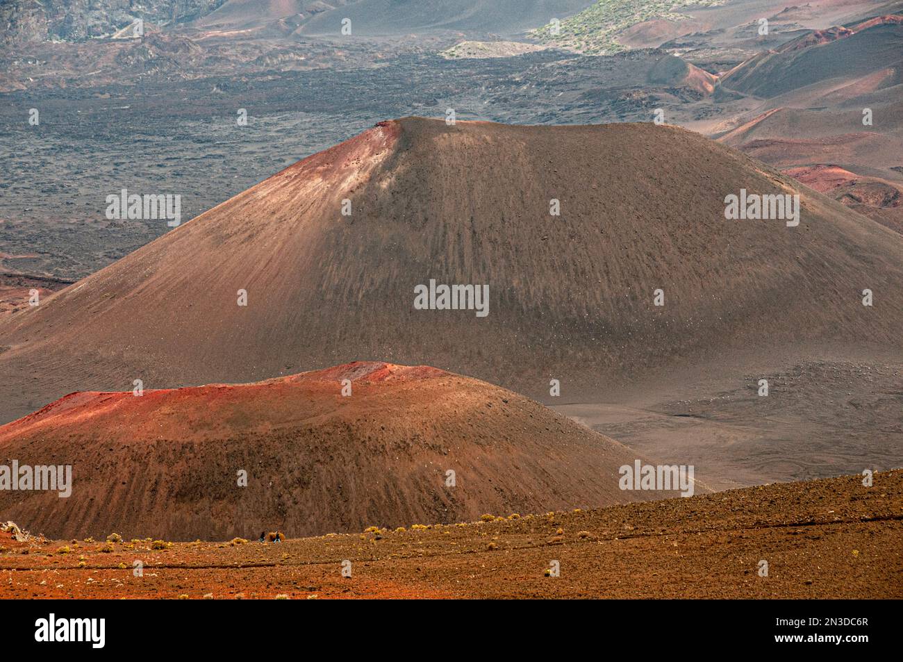 Les ascensions volcaniques se situent dans le cratère principal du parc national de Haleakala sur l'île de Maui ; Maui, Hawaï, États-Unis d'Amérique Banque D'Images