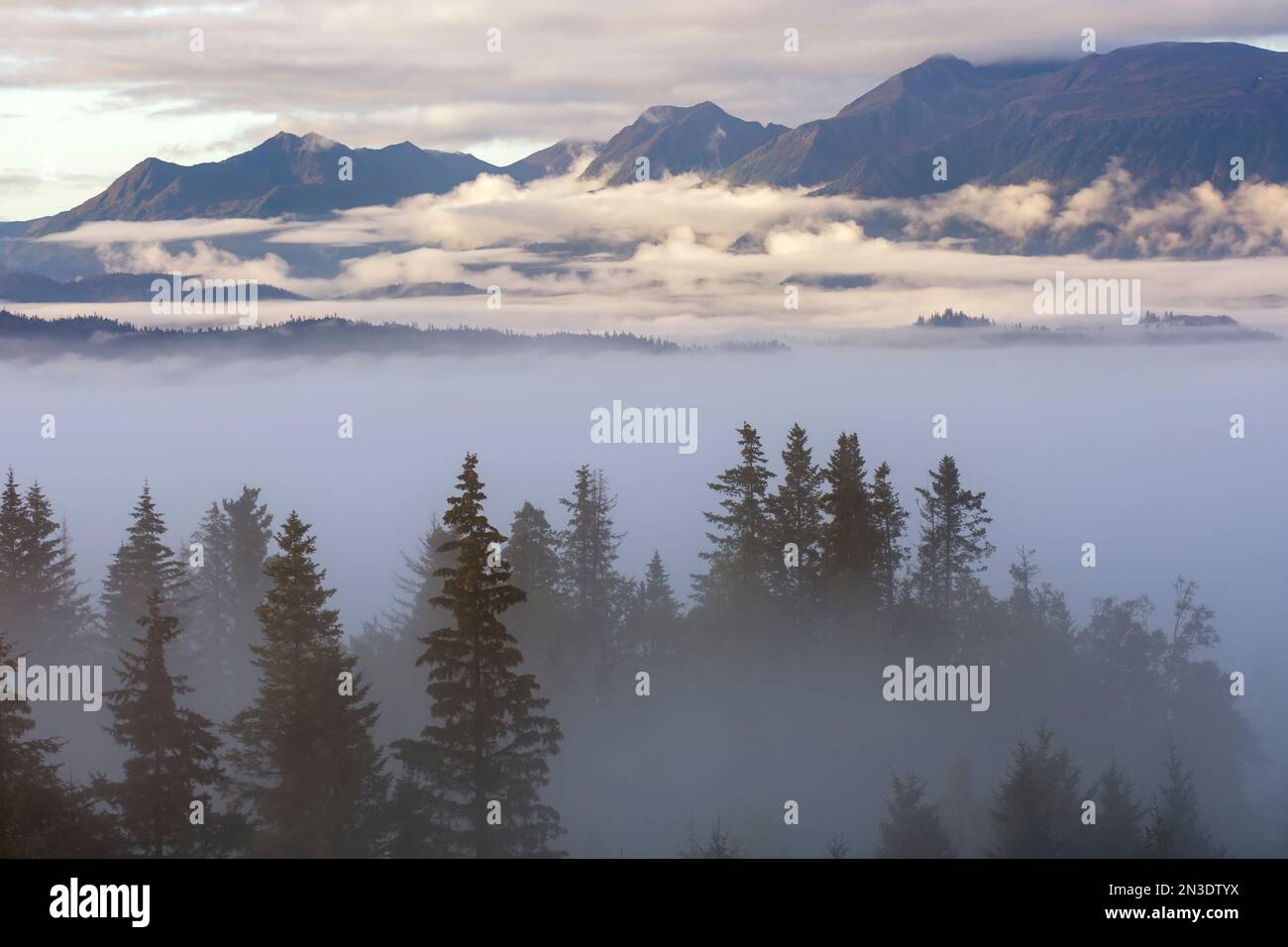 Une journée brumeuse révèle lentement la baie de Kachemak, les monts Kenai, les îles Cohen et Yukon et des épinettes enveloppées de brume depuis une terrasse résidentielle à Hom... Banque D'Images