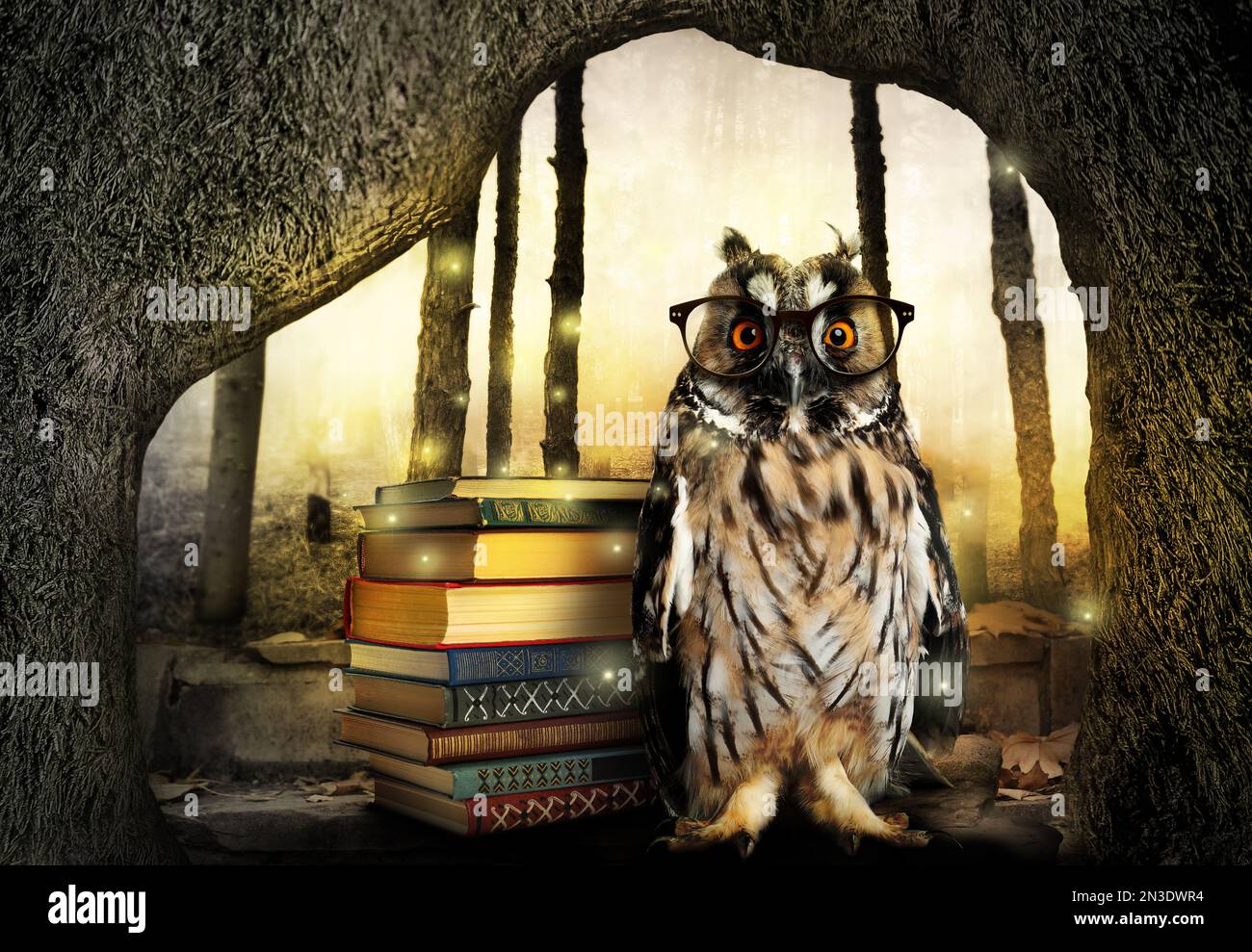Belle hibou sage près des livres dans le monde de fantaisie Banque D'Images