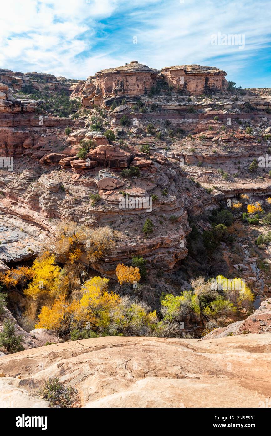 Une vue sur le Big Spring Canyon montrant la géologie merveilleuse dans le parc national de Canyonlands ; Blanding, Utah, États-Unis d'Amérique Banque D'Images