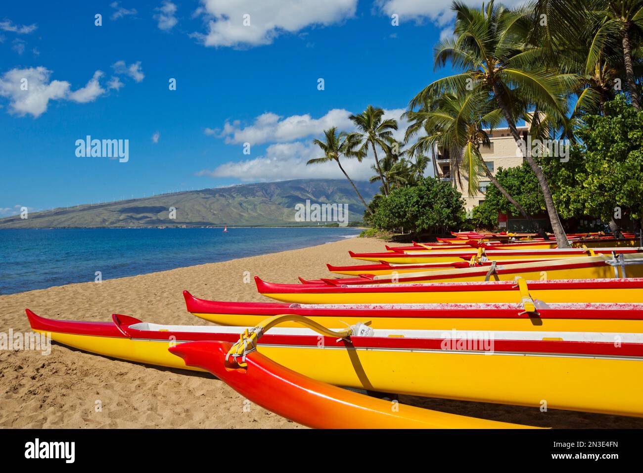 Une rangée de canoës hawaïens colorés Outrigger alignés sur la plage à l'extrémité nord de Kihei ; Kihei, Maui, Hawaï, États-Unis d'Amérique Banque D'Images