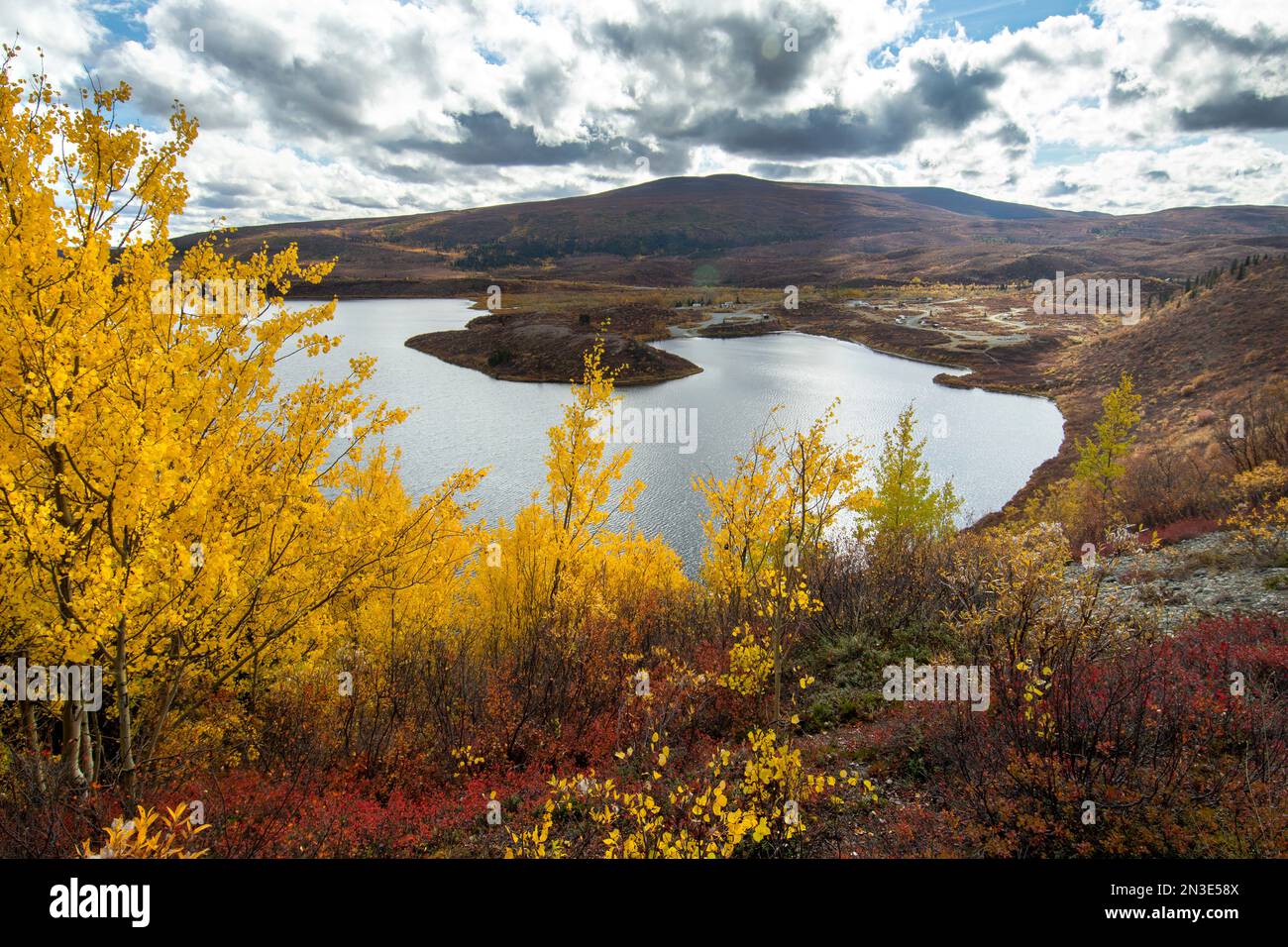 Feuillage d'automne à Tangle Lakes et grande cueillette de canneberges du Bush surplombant le terrain de camping de Tangle Lakes, le long de la Denali Highway Banque D'Images