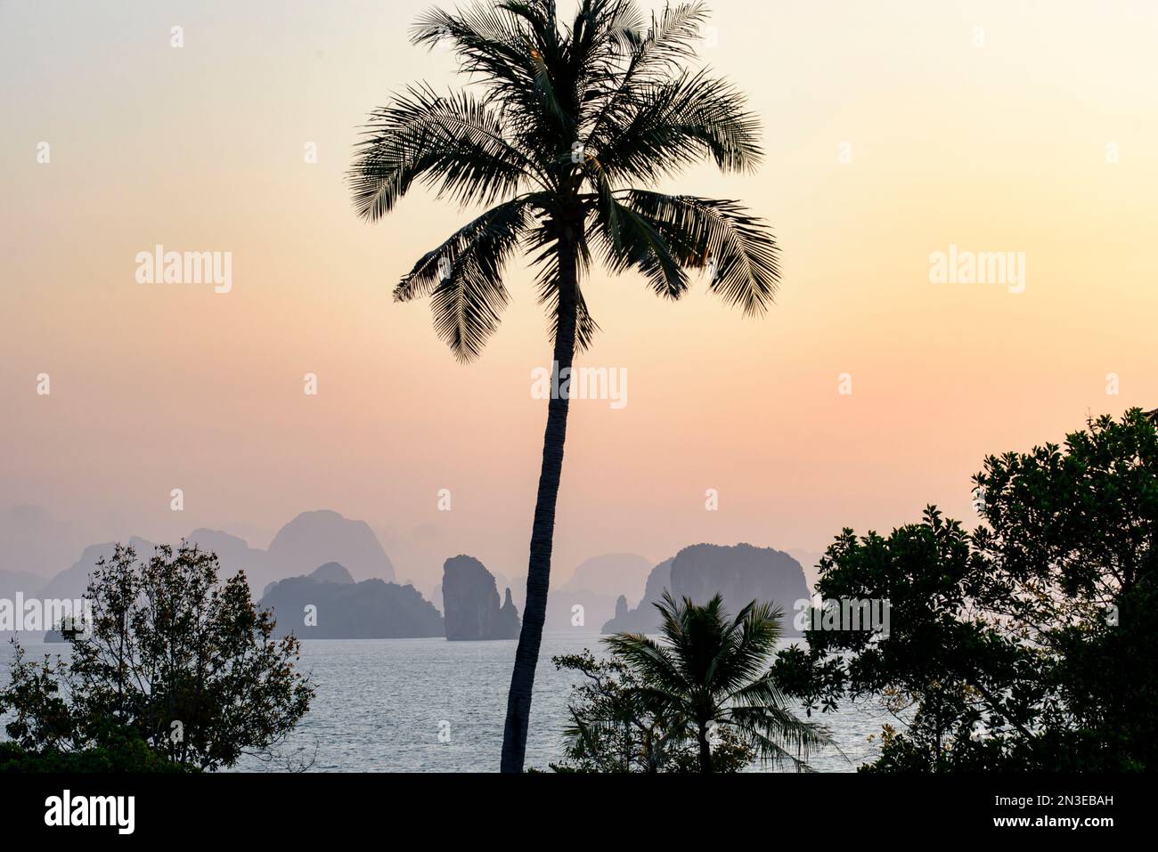 Silhouette de palmiers et formations rocheuses karstiques surplombant la baie ; Phang Nga Bay, Thaïlande Banque D'Images