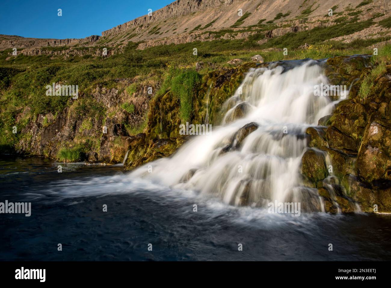 Vie de l'une des sept cascades de Dynjandi Cascades se précipitant sur les falaises de la Arnarfjörður dans la région des Westfjords en Islande Banque D'Images
