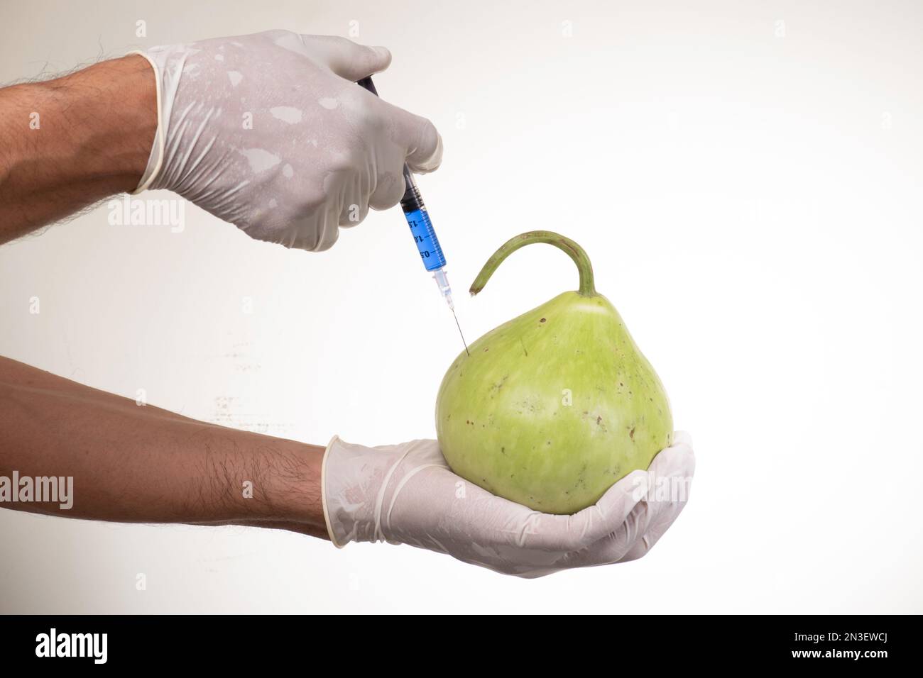 Injection d'hormones dans les légumes pour la croissance, concept de croissance végétale inorganique Banque D'Images