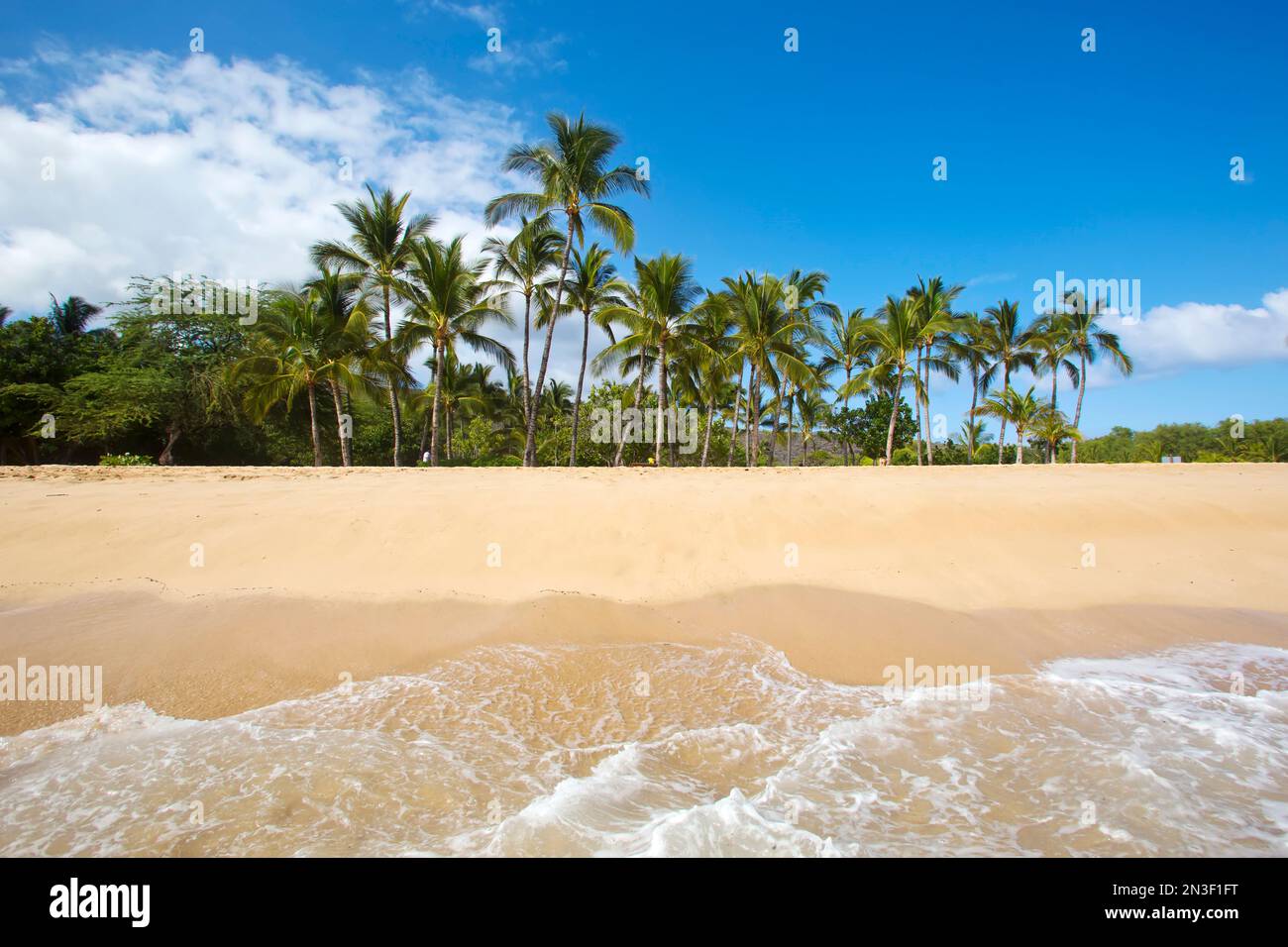 Vue depuis l'eau du rivage sablonneux et des palmiers sur la plage de Hulopo'e dans la baie de Manele ; Lanai, Hawaï, États-Unis d'Amérique Banque D'Images