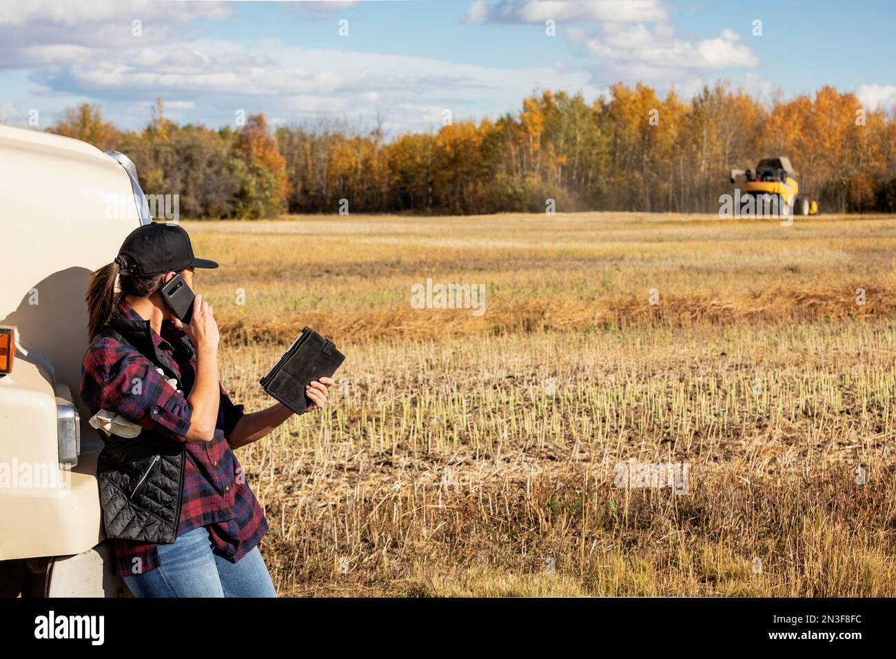 Une femme debout à côté d'un transporteur de grains, utilisant des appareils portables sans fil pour gérer et surveiller une récolte de canola d'automne, parlant au téléphone, avec un c... Banque D'Images