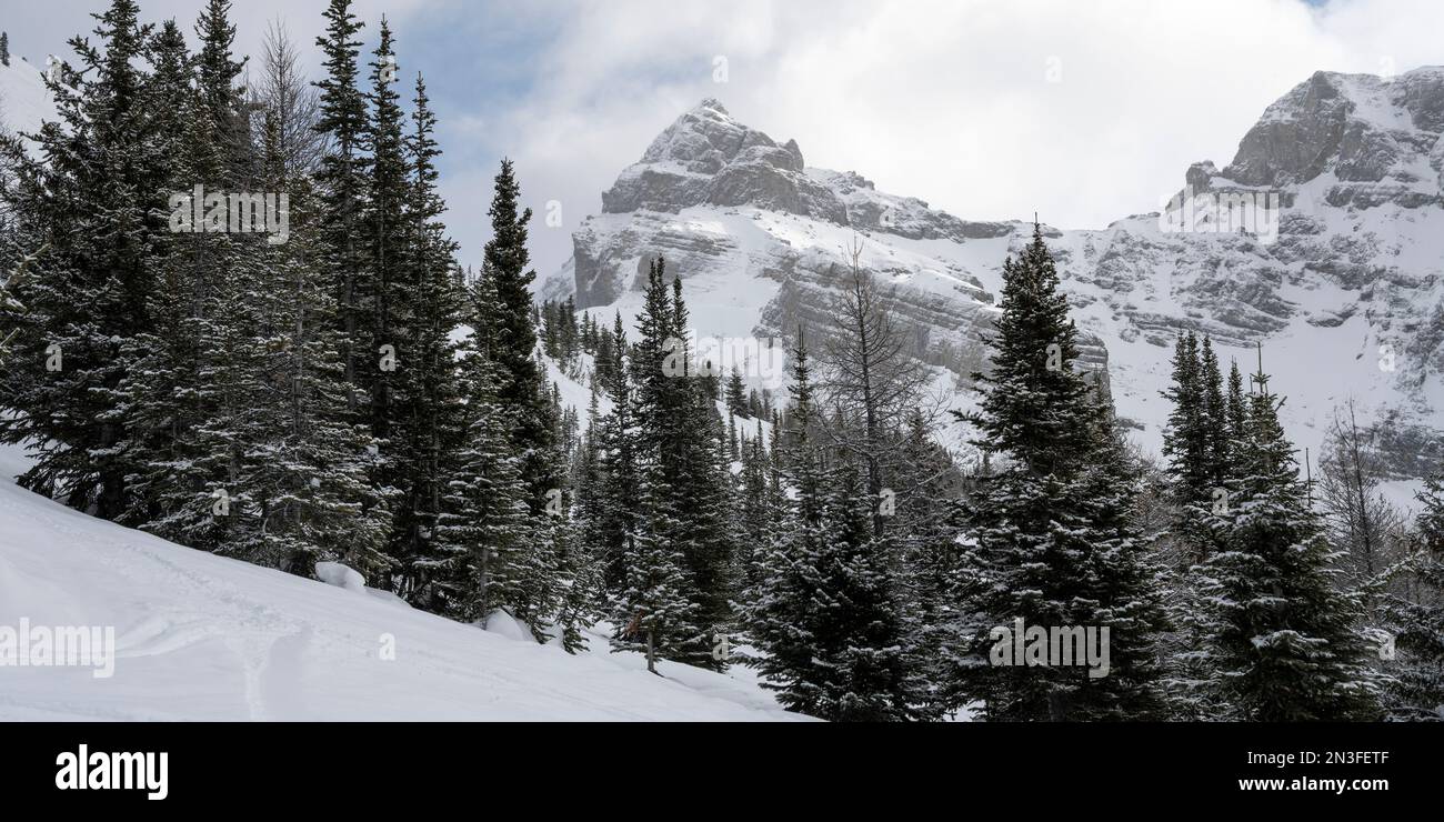 Vue sur les montagnes Rocheuses depuis une station de ski dans le parc national Banff, Alberta, Canada ; Improvement District No. 9, Alberta, Canada Banque D'Images