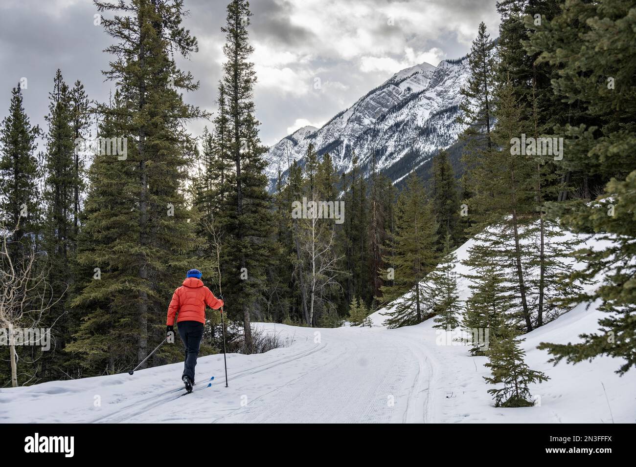 Skieuse pratique le ski de fond dans les montagnes Rocheuses du parc national Banff, Alberta, Canada ; Improvement District No 9, Alberta, Canada Banque D'Images