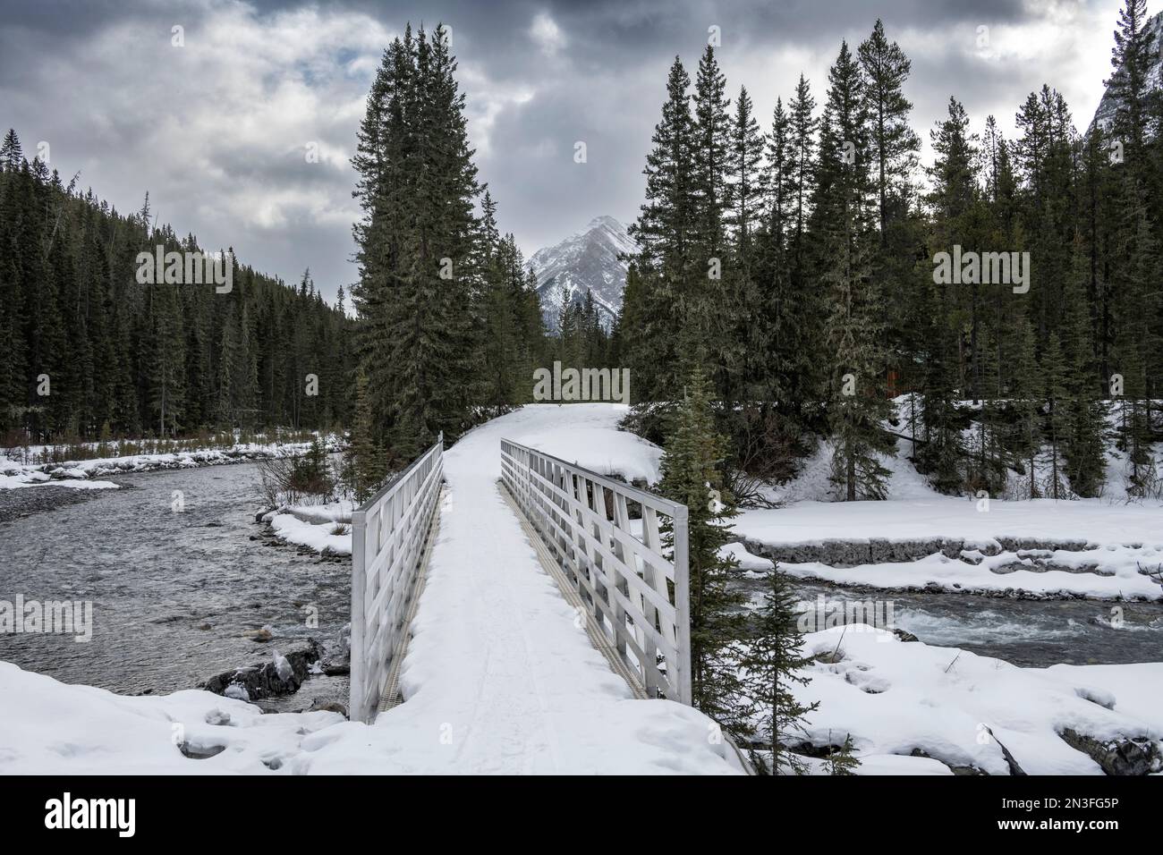 Sentier enneigé de la rivière Spray dans le parc national Banff, Alberta, Canada ; District d'amélioration no 9, Alberta, Canada Banque D'Images
